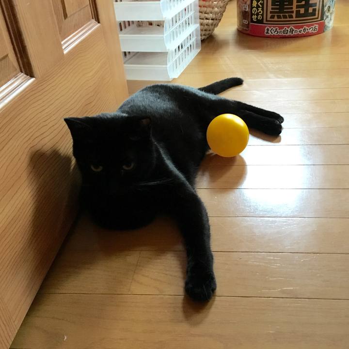 01f7c5e1 512e 486f ab75 6241f6978ca6