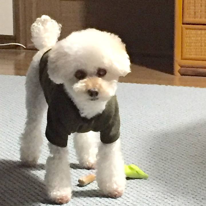 01f7ea02 3169 48f5 a386 f5bb880e8378