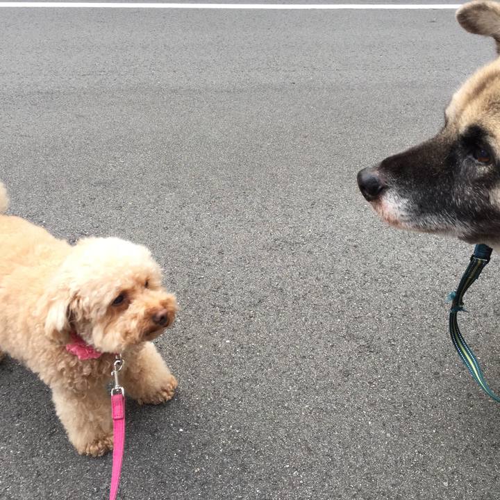 01f82c38 3cfa 41c8 ad75 af84d5a9ae8c