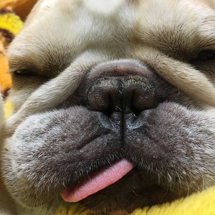 01f9288d 8a29 46b7 8f19 e50661407405