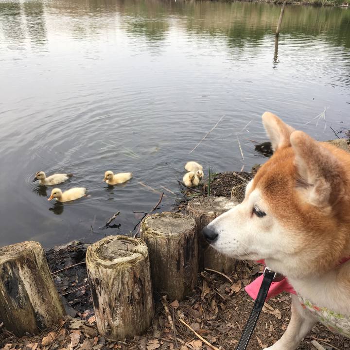 01f9cd9a 3bea 43b4 8fd3 504f4b0e4d98