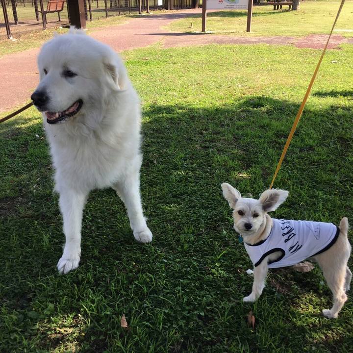 01f9ff1a 27fb 40c0 a254 f8da367986b1