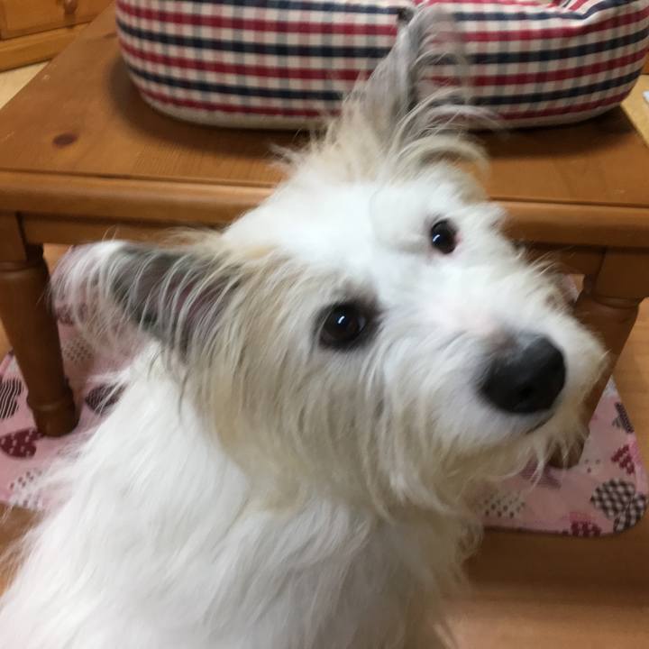 01fb5aa4 532a 4937 8bd8 ebdd95068efe