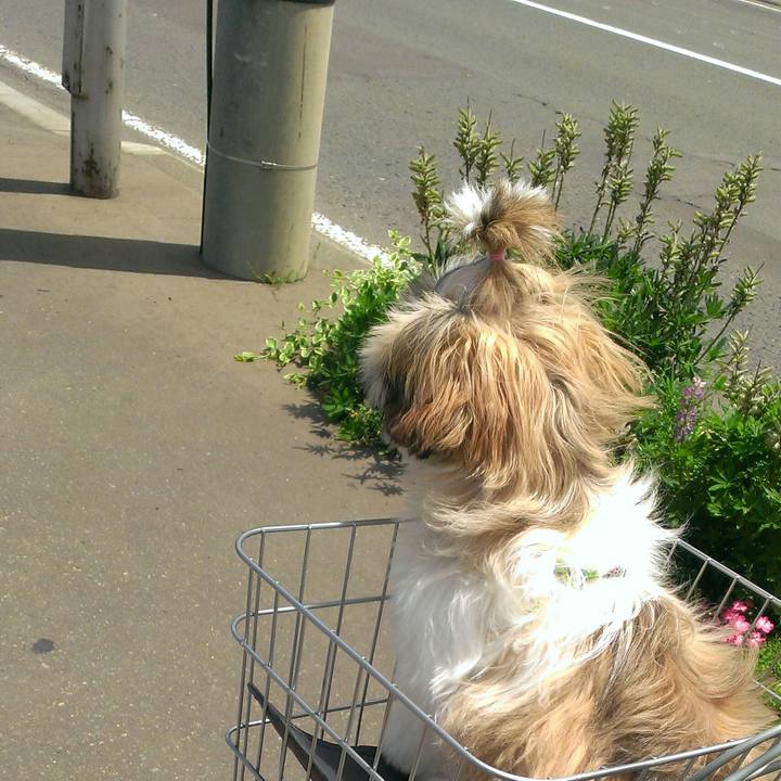 01fbd3a0 b919 43b2 a005 2963375b8760