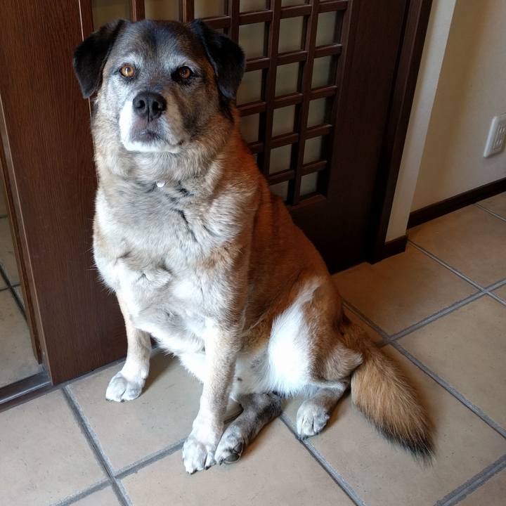 01fc3356 cb51 47be bd5e 95b647bd4cb4