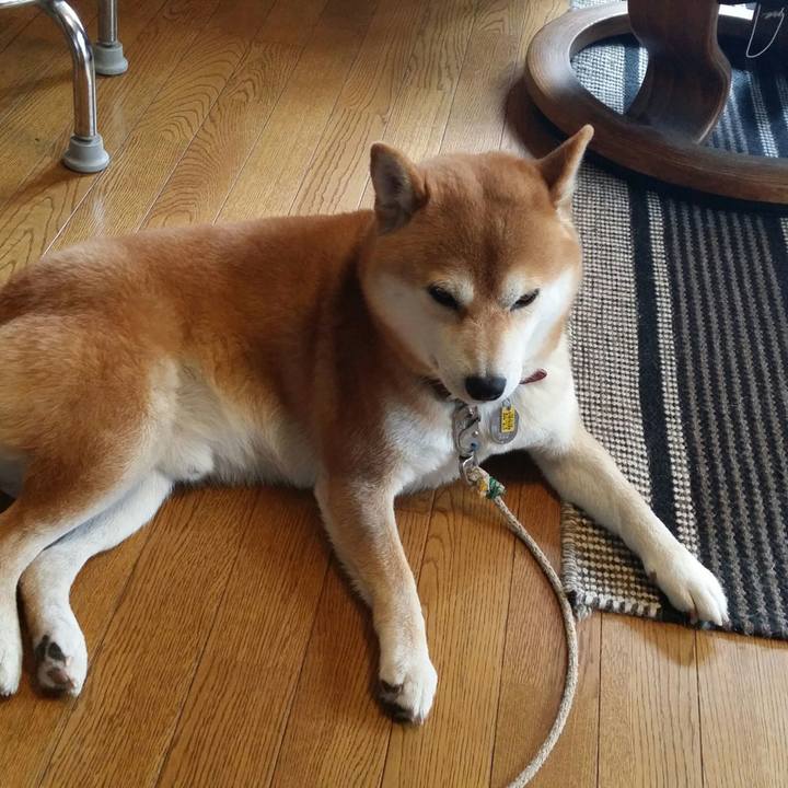 01fce4f1 83f8 4f15 87de 8d54fd5ccaeb