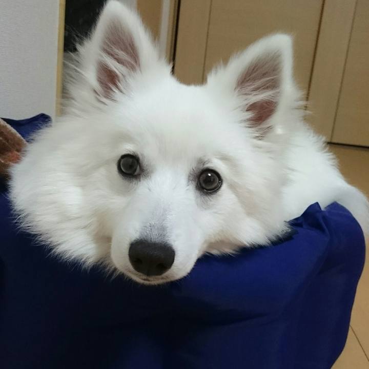 01fd353a 9ed8 499c 858b 4486a6f0f1e3