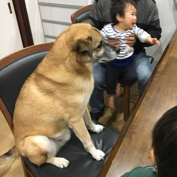 01fd944d aa41 4d98 86dd 062649ebb349