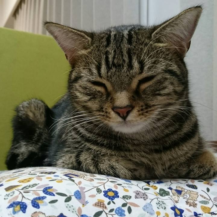 01fe078a a189 4e0d 947c 1f47d23040dd