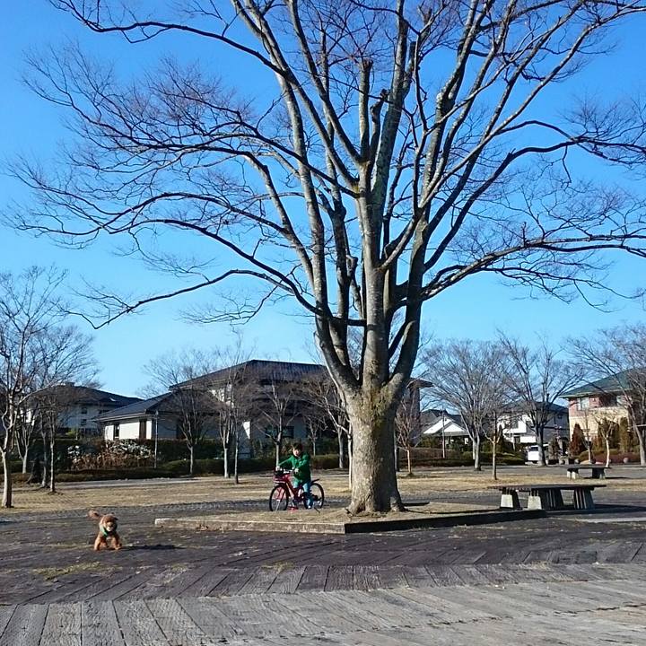 01fe352b 14a0 4ebf 9136 e165398ffd37