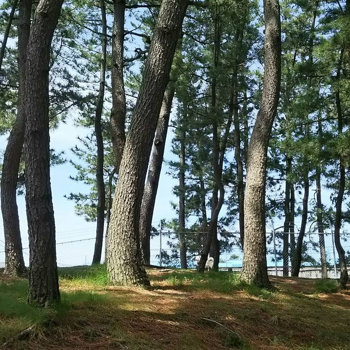 01fe98c1 ea03 4734 8b9f cd62e31a646f