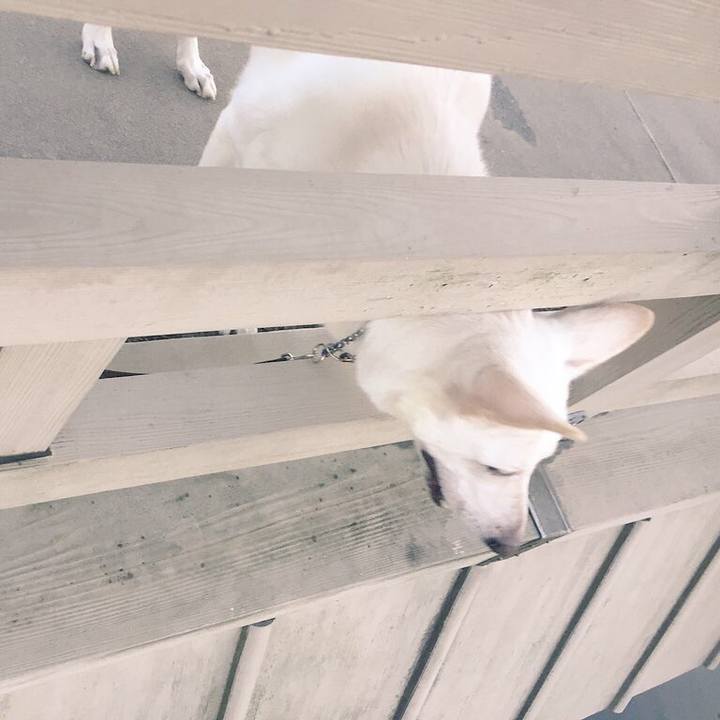 01ffaefa 5549 48db 9694 61d8a44f42ee