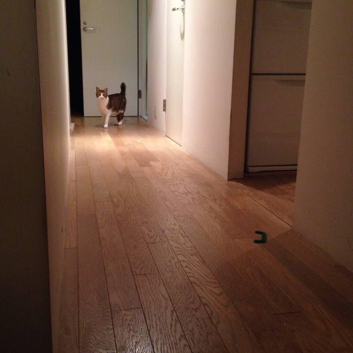 01ffc7a8 ac75 465c 83a8 1a6a22400b69