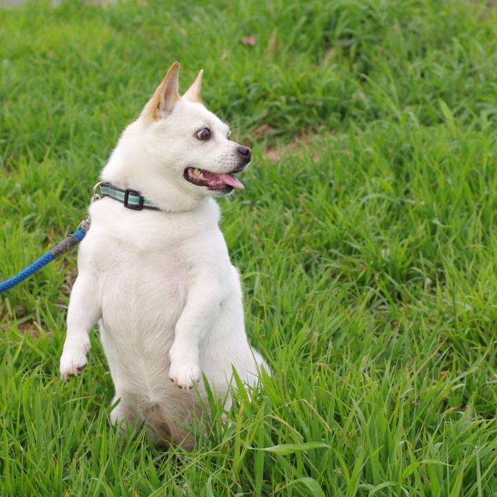 02004bb1 d956 4460 b97f 91c101afabdb