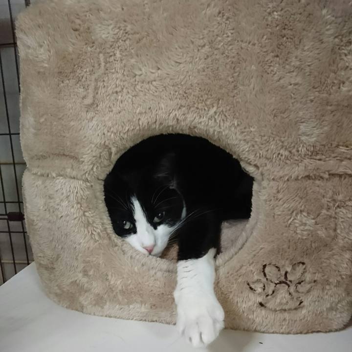 02005b39 bcf2 4aee 9f81 e7f142cc70b9