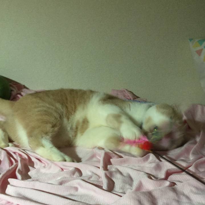 02010b88 b1fc 46c4 b6ac 19586b43ac3a