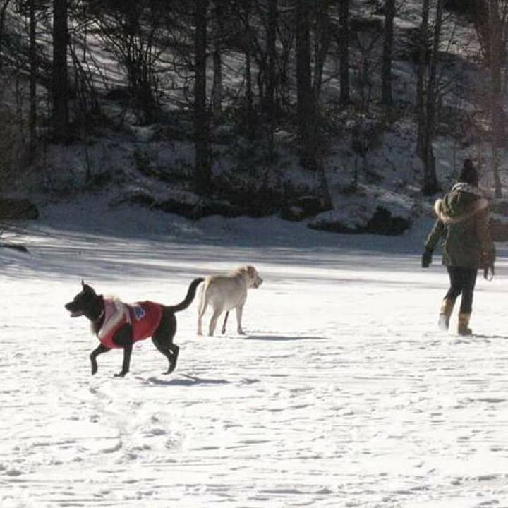 02013f6f 4702 4462 ae6c 28f9fe8383bd