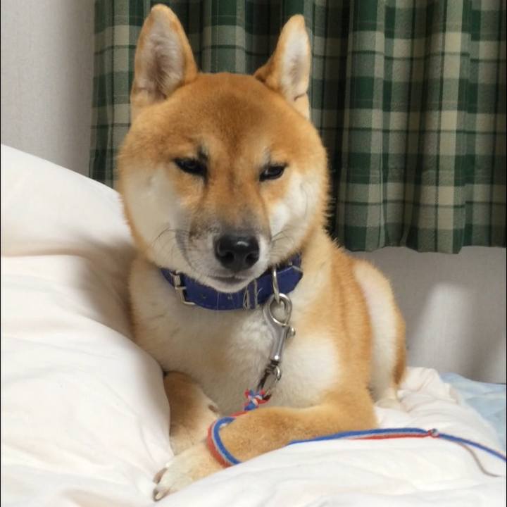 0201dea4 8464 4ea3 9879 1f5d9e7ca033