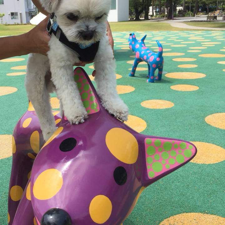 02041350 7f25 4645 8242 50b85a366da3