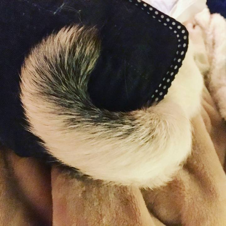 02047a46 55aa 4095 b3cc b6a5d9305319