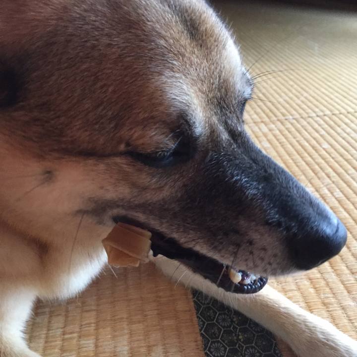 020496a8 518e 4c17 ad68 b185f27c0394