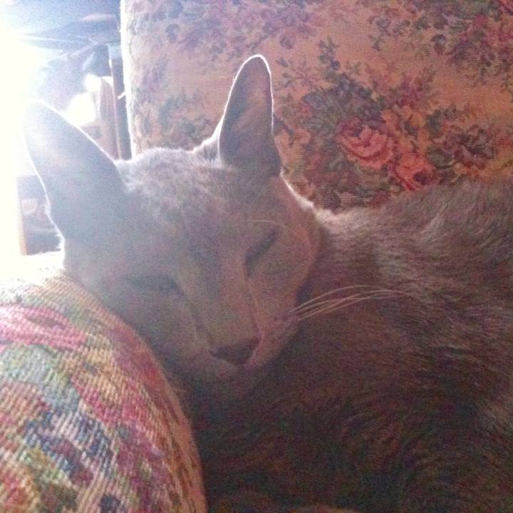 0204af4e 2676 41ec be30 1dc00c2136ab