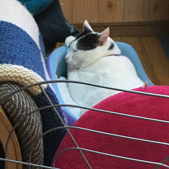 02051837 af7e 4a1f 962b 28871b12360c