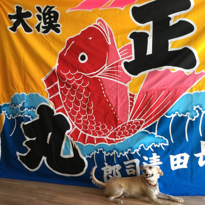 02054920 f0cf 42bd ac9a fdb5bce4cac5