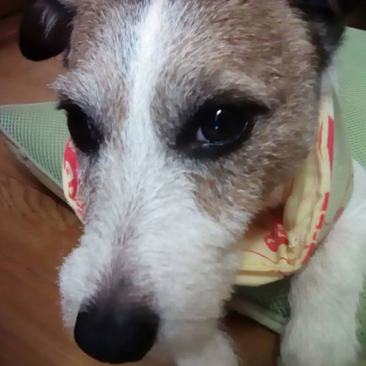 020552d6 5437 4886 8c57 5638e3c30ce0