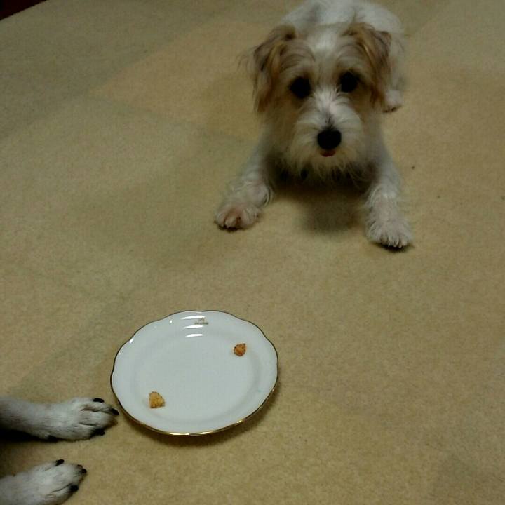 02055d8b bce4 4fdc b00e b73f1e8eb2bf