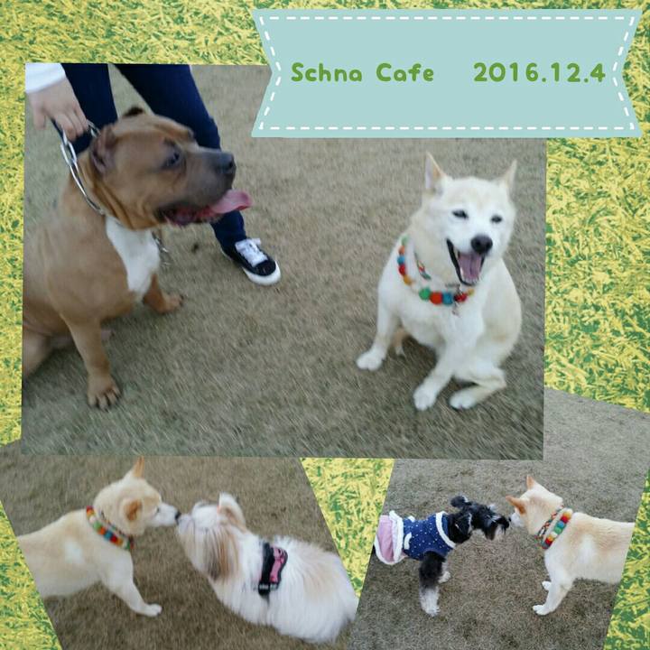 02056a02 334e 4881 847a 814cc7db565d