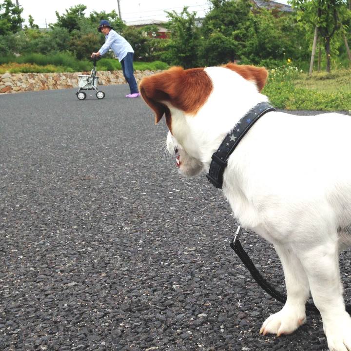 02057825 1218 47d5 b87b dd239c00f8c3