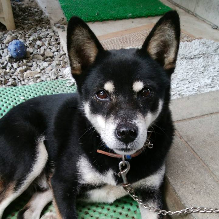 0205b6bd a48c 48bb a800 77002c35b638