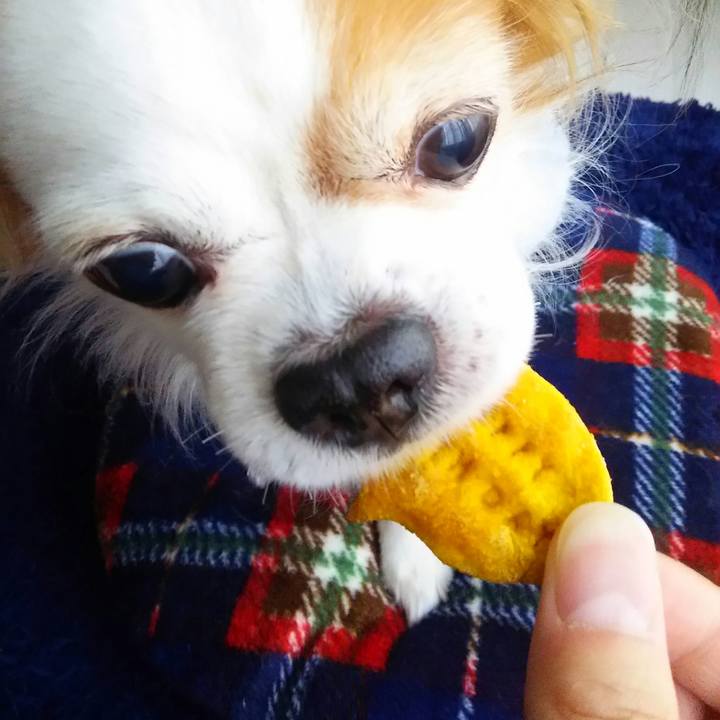 0206558f 6ac9 4e5f a29e 3da5a179d5c0