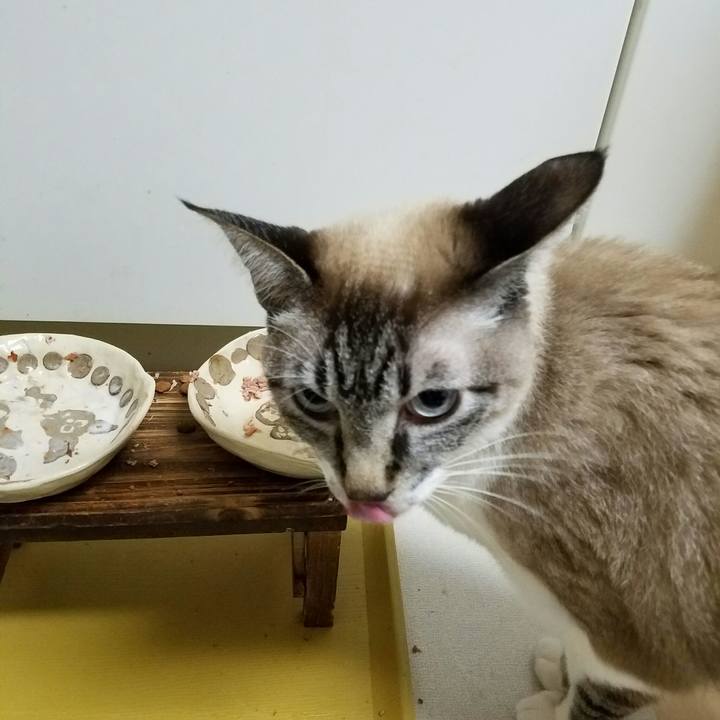 020671ff e63e 454f 8fac f2cbb888a8c7