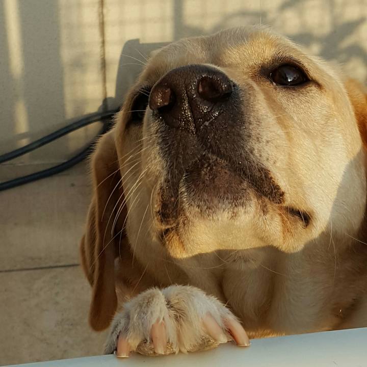 0207a1f5 8bf5 4292 b8aa 40043227536b