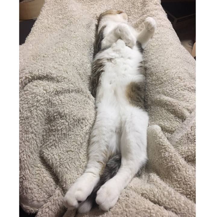 0207ebce 53c2 4a1b aeb9 5476b72d43c1