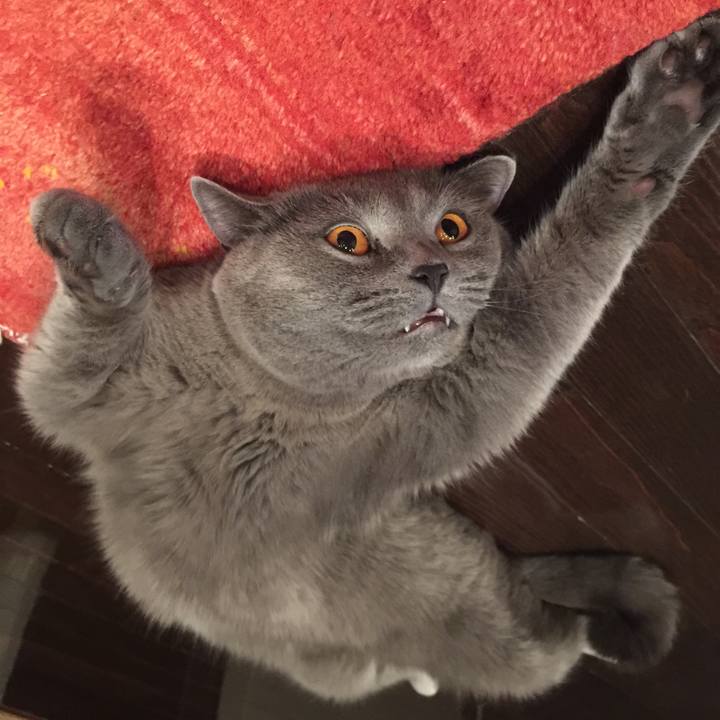 020811d0 a57e 489d 9c0d aa28a0a4c856