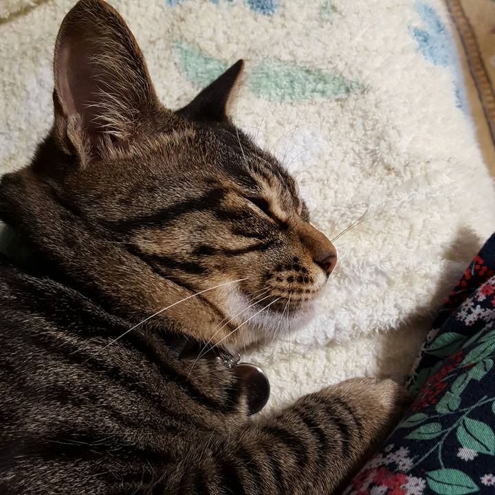 020884c7 5354 4a76 93f3 55df746e53e4