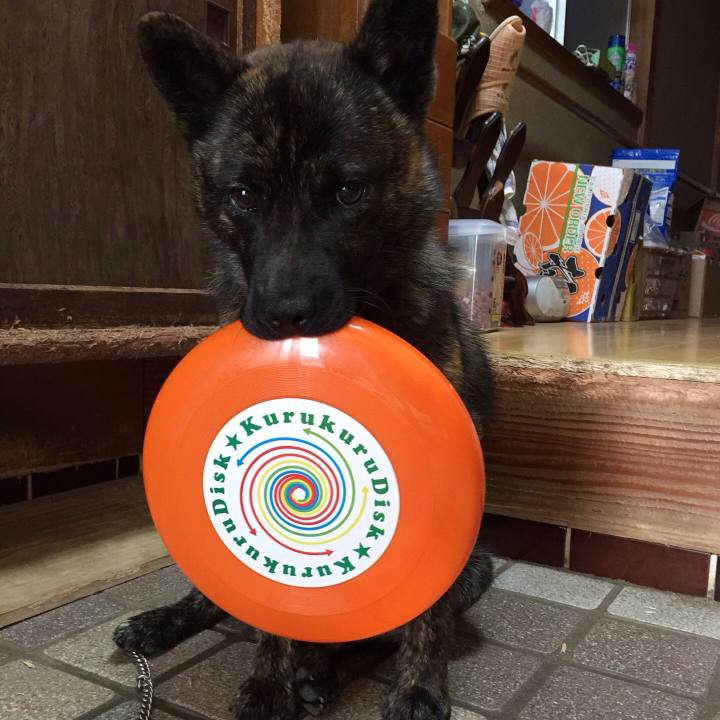 0208e8d6 9086 4c31 ba2c bcfff8e30b04