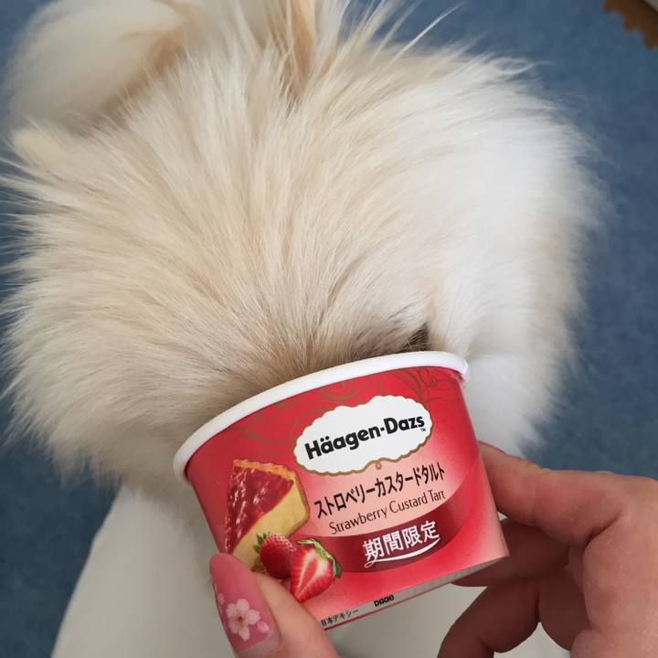 0209667d 992f 4cbd 9cc7 f47bf50d7ad1