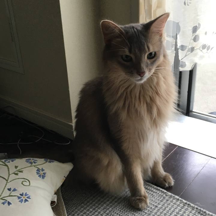 020af5ce 852a 49b2 9d3c 7f4249c82e08