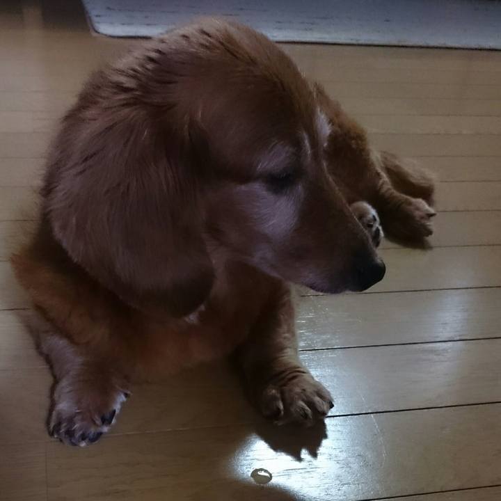 020b7607 b788 4f0f 9bf9 40548fd52260