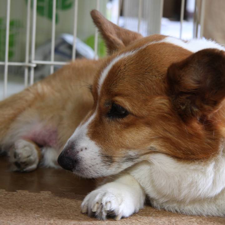 020bb038 556f 48f2 9687 397c47dbcc04