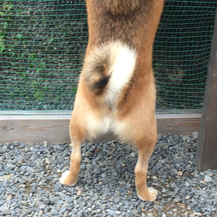 020c1eab fd1e 4616 9805 34043101488c