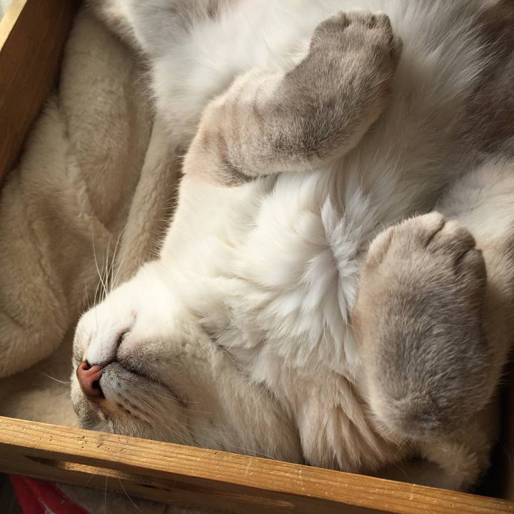 020c45a4 1de8 4651 9b02 6361ebf29aa0