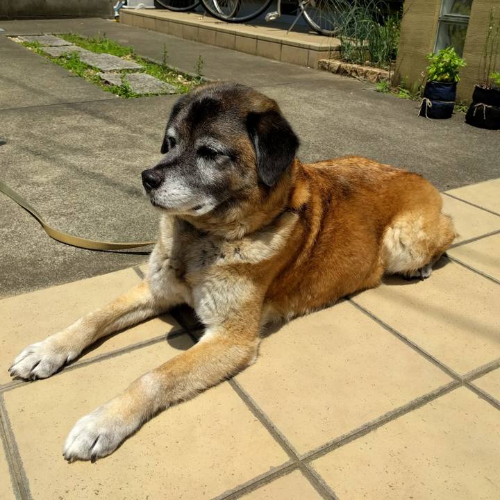 020c76dd 8036 4d2c b7d5 6af2bff78373