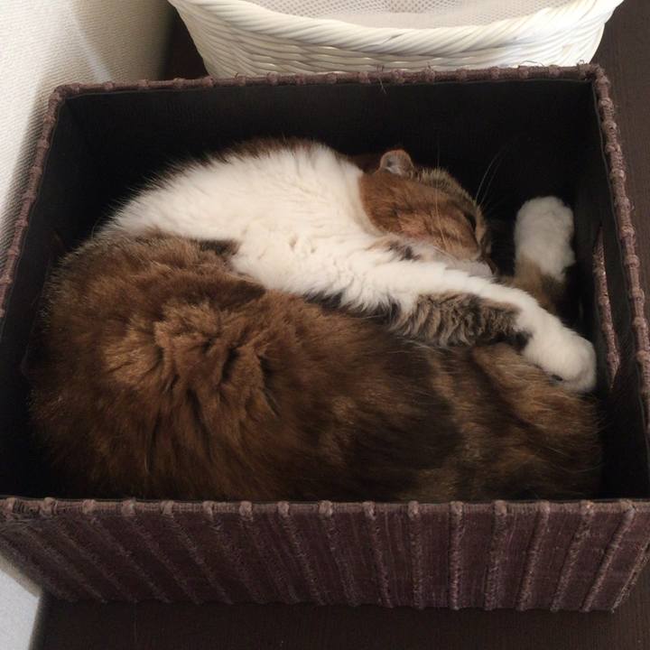 020c7e58 8f22 4151 9375 88f69f38938a