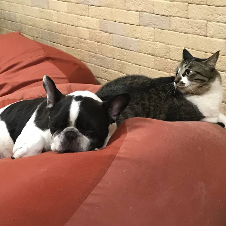 020d4198 44ec 45f9 b104 4b6ba849fd9e