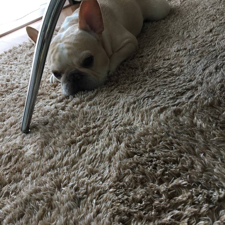 020e26bd 8f9f 4997 83ca 9a9a5ddcebf6